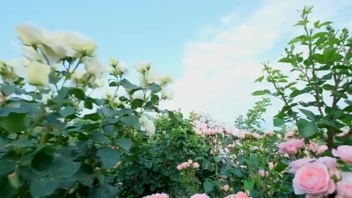 আমার কলেজ বন্ধুর সাথে রোমাঞ্চকর রাত!